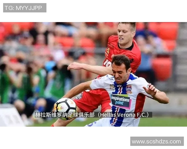 意甲联赛焦点战维罗纳全力争取首场胜利迎战对手 意甲联赛焦点战维罗纳全力争取首场胜利迎战对手