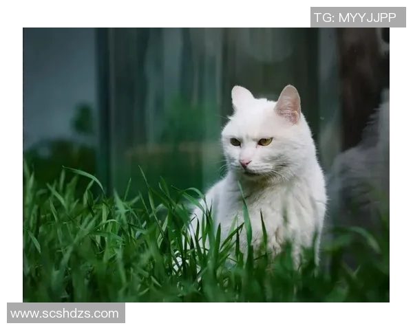 略伦特谈国家队征召与俱乐部工作的重要性表示无论如何都感到快乐