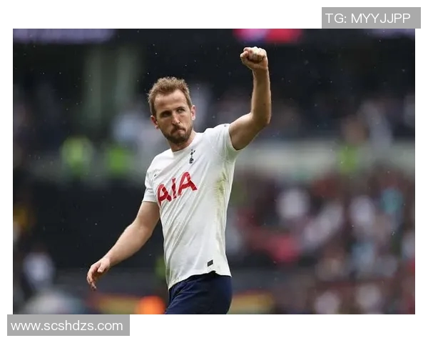 凯恩近两个赛季热区变化分析:上赛季专注禁区本赛季活动范围显著扩大 凯恩近两个赛季热区变化分析:上赛季专注禁区本赛季活动范围显著扩大